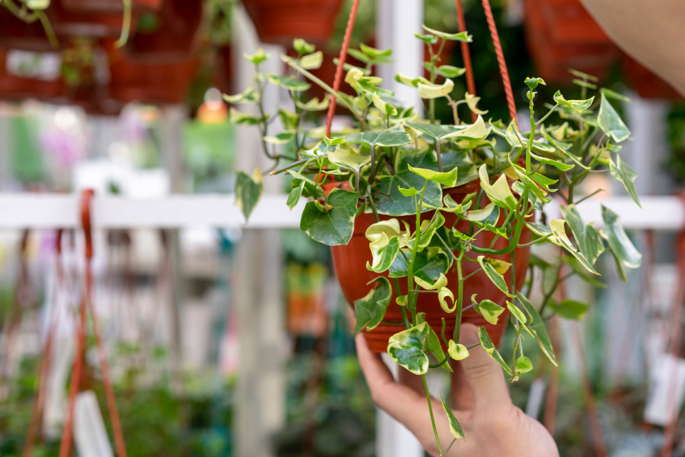 Kunstmatige planten in je tuin – waarom het de moeite waard is!